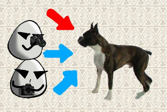 生き物ルーム第8段(^o^)