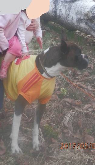 生き物ルーム第8段(^o^)