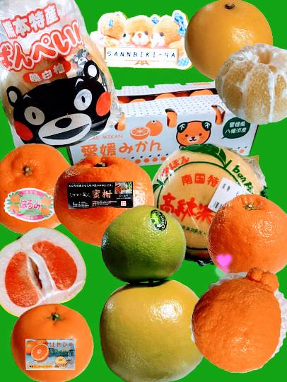 vol.8南関東イドバタ会議継続中。愛調南関東連合にようこそ!キタカンさんも是非!