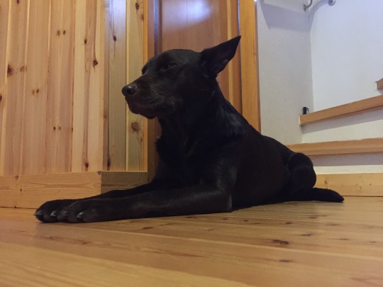 生き物ルーム第8段(^o^)