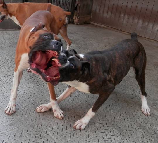 生き物ルーム第8段(^o^)