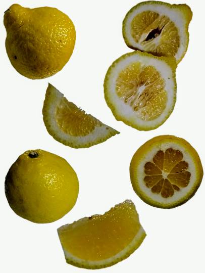 vol.8南関東イドバタ会議継続中。愛調南関東連合にようこそ!キタカンさんも是非!