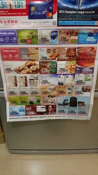 つくば１日招待券付のチラシ