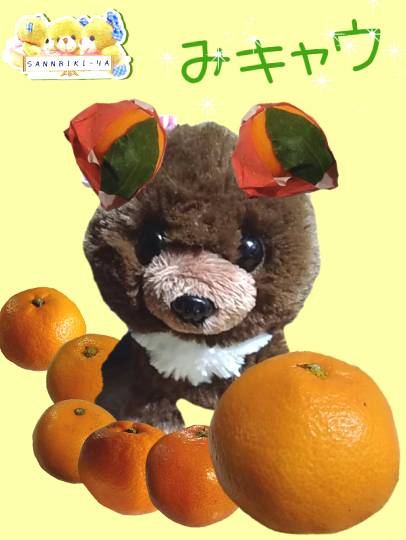 vol.8南関東イドバタ会議継続中。愛調南関東連合にようこそ!キタカンさんも是非!