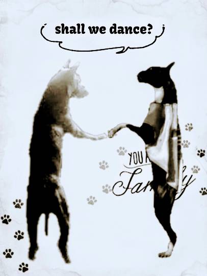 生き物ルーム第8段(^o^)