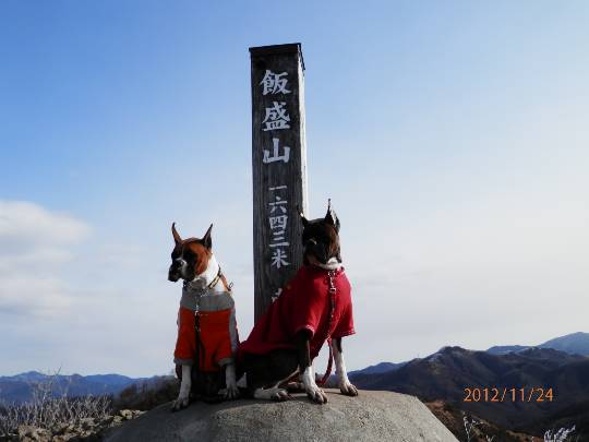 vol.８南関東イドバタ会議継続中。愛調南関東連合にようこそ！キタカンさんも是非！