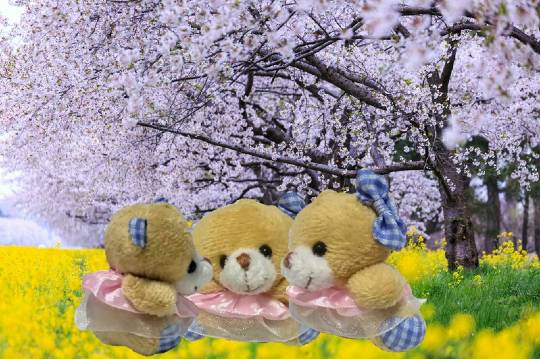 vol.8南関東イドバタ会議継続中。愛調南関東連合にようこそ!キタカンさんも是非!