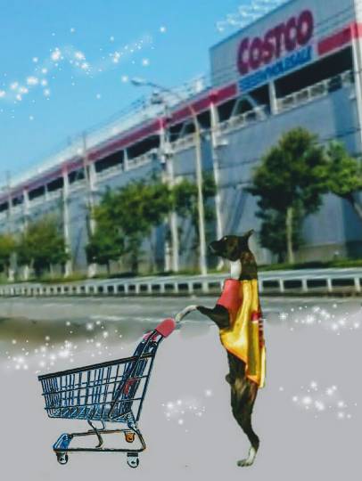 生き物ルーム第8段(^o^)