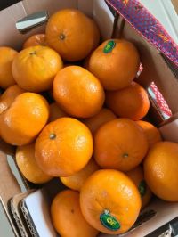 オア マンダリン オレンジ 