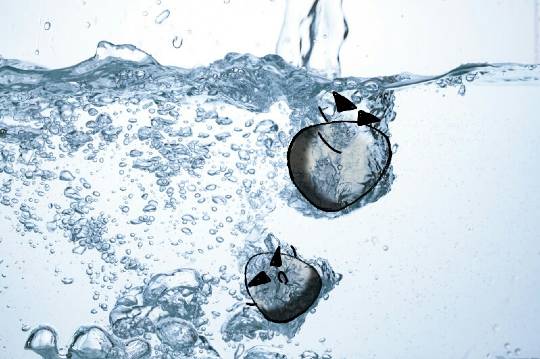 vol.8南関東イドバタ会議継続中。愛調南関東連合にようこそ!キタカンさんも是非!