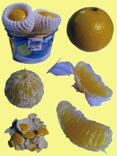 vol.8南関東イドバタ会議継続中。愛調南関東連合にようこそ!キタカンさんも是非!