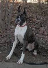 生き物ルーム第8段(^o^)