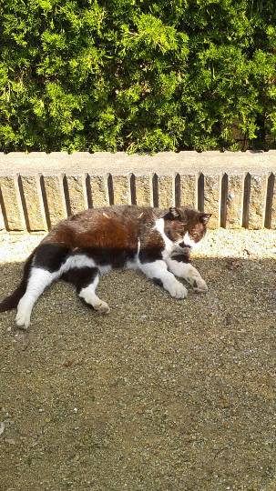 生き物ルーム第8段(^o^)