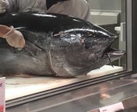 3/24 かみのやま