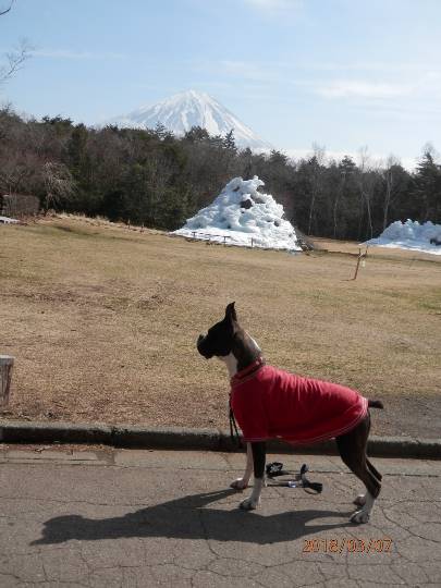 vol.8南関東イドバタ会議継続中。愛調南関東連合にようこそ!キタカンさんも是非!