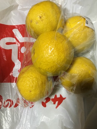 vol.8南関東イドバタ会議継続中。愛調南関東連合にようこそ!キタカンさんも是非!