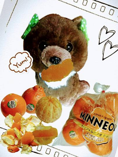 vol.8南関東イドバタ会議継続中。愛調南関東連合にようこそ!キタカンさんも是非!