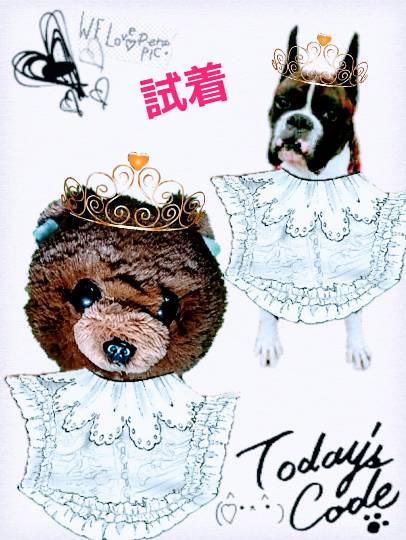 いろいろ『祝おう会』開催のお知らせ　3/16(金)～3/18(日)