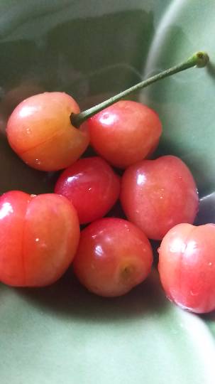 東海エリア界ナンバーーー3♪ (●^o^●)