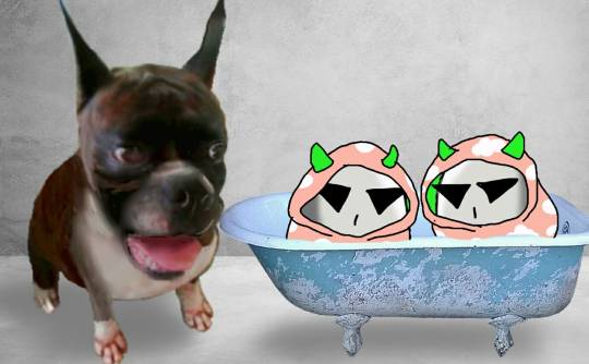 コストコユーザーの業務スーパー雑談 3