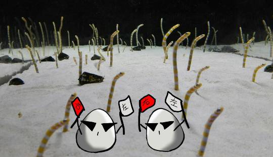 東海エリア界ナンバーーー３♪　（●＾o＾●）