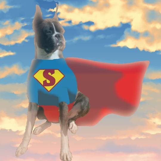 生き物ルーム第8段(^o^)