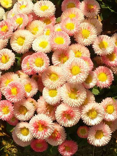 生き物ルーム第8段(^o^)