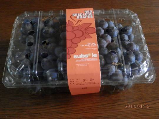 vol.9南関東イドバタ会議継続中。愛調南関東連合にようこそ!キタカンさんも是非!