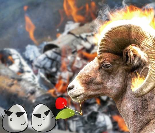 東海エリア界ナンバーーー3♪ (●^o^●)