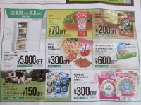 チラシ情報　２