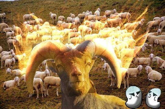 東海エリア界ナンバーーー3♪ (●^o^●)