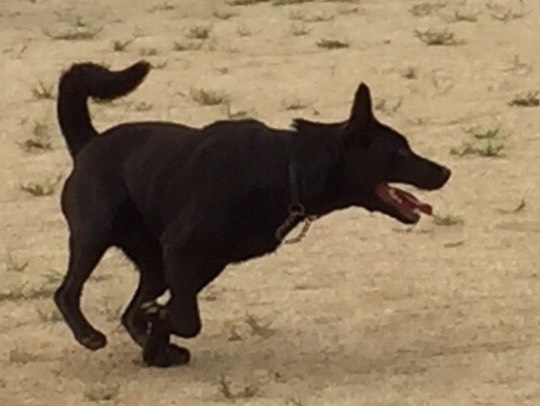 東海エリア界ナンバーーー3♪ (●^o^●)