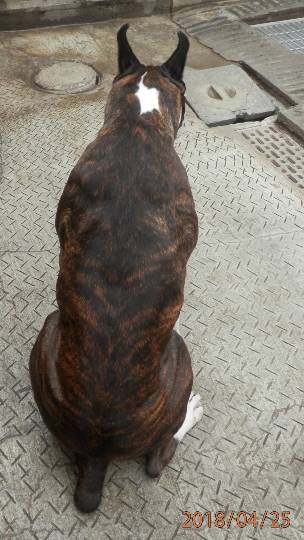 生き物ルーム第8段(^o^)