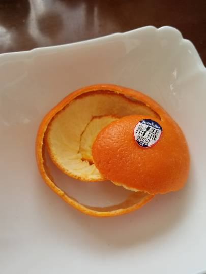 オレンジ 剥き 方