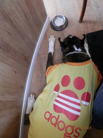 生き物ルーム第8段(^o^)