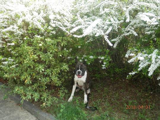 生き物ルーム第8段(^o^)