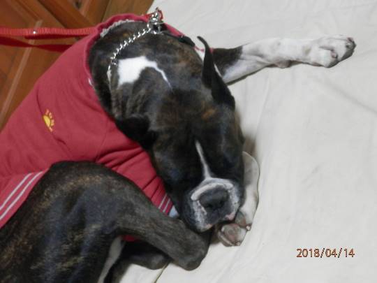 vol.9南関東イドバタ会議継続中。愛調南関東連合にようこそ!キタカンさんも是非!