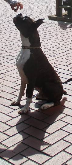 生き物ルーム第8段(^o^)