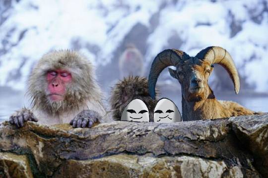 懺悔の舘(軽いの限定でスッキリ告白しませんか？)