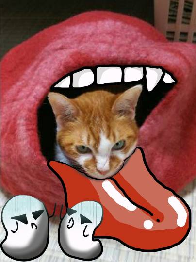 生き物ルーム第8段(^o^)