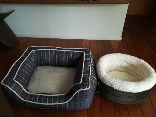 集まれ♪カープっ子