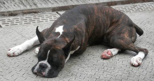 生き物ルーム第8段(^o^)