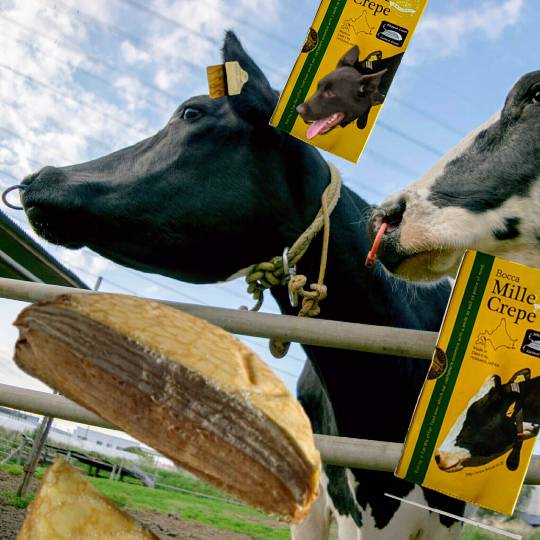 東海エリア界ナンバーーー３♪　（●＾o＾●）