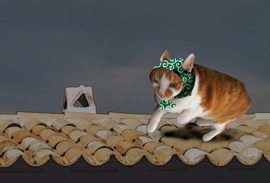 生き物ルーム第8段(^o^)