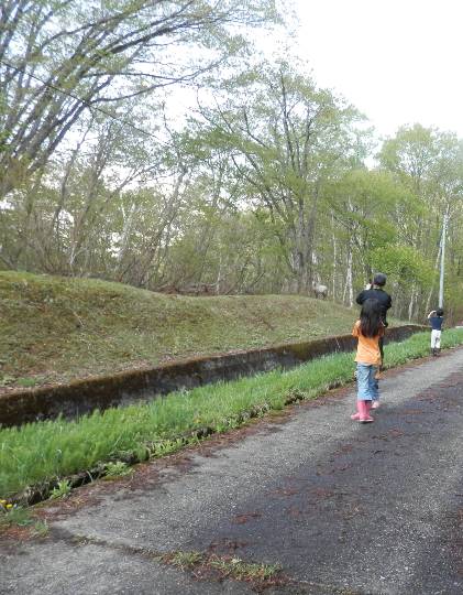 生き物ルーム第8段(^o^)