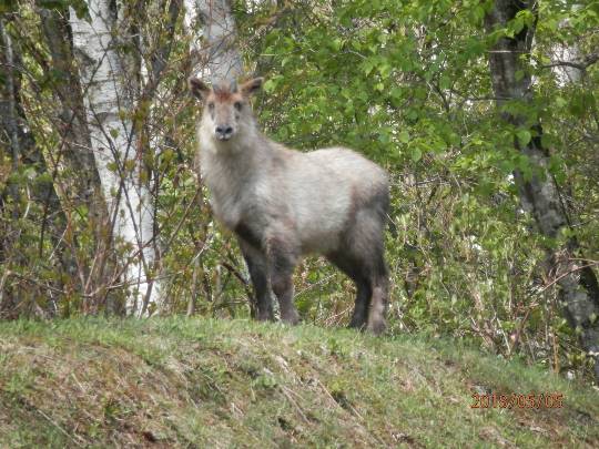 vol.９南関東イドバタ会議継続中。愛調南関東連合にようこそ！キタカンさんも是非！