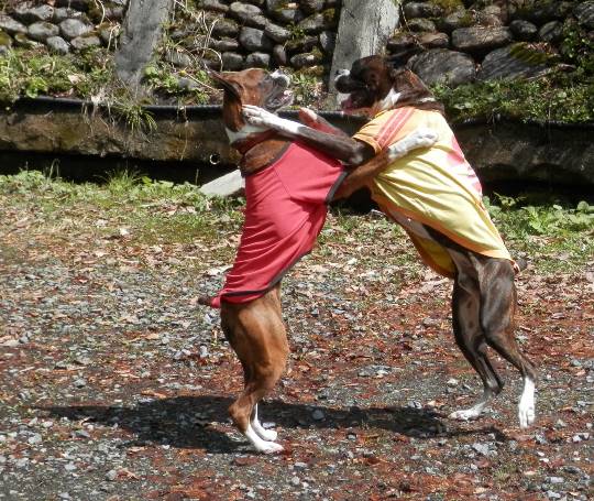 生き物ルーム第8段(^o^)