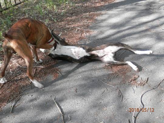 vol.９南関東イドバタ会議継続中。愛調南関東連合にようこそ！キタカンさんも是非！