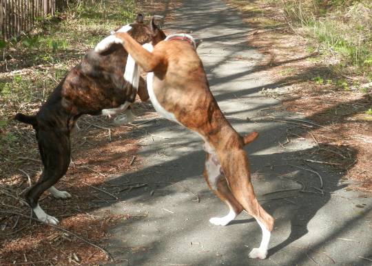 生き物ルーム第8段(^o^)