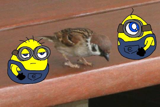 生き物ルーム第8段(^o^)